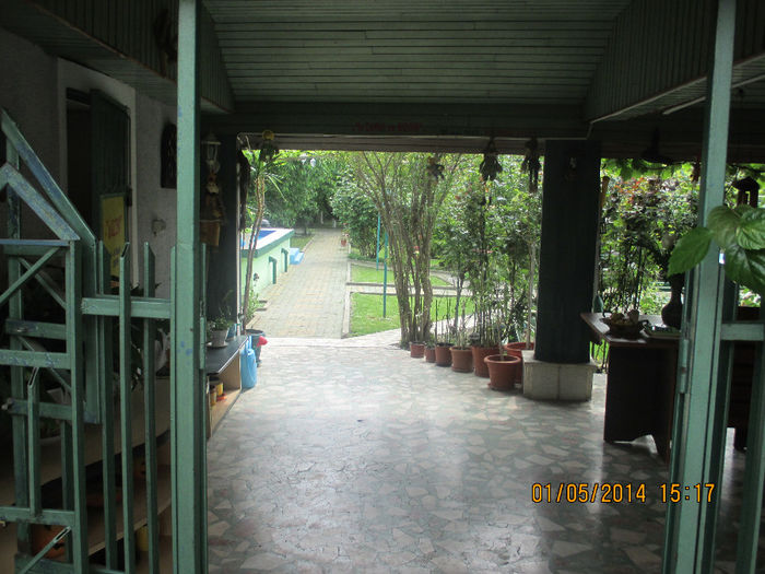 IMG_7992 - Gradina mea de vis Mai 2014