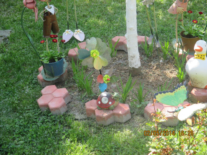 IMG_8003 - Gradina mea de vis Mai 2014