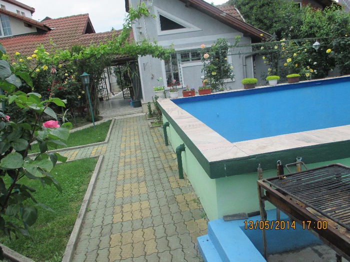 IMG_8350 - Gradina mea de vis Mai 2014