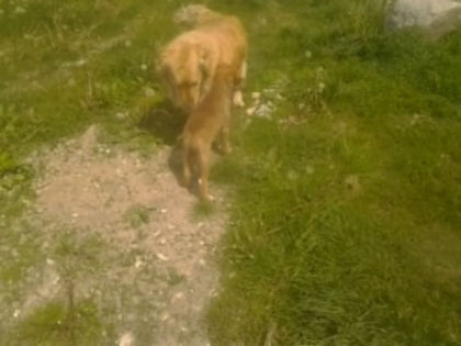 poate chiar ma vrei..!?