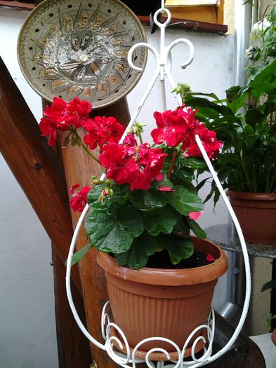 20140514_130028 - 1mai