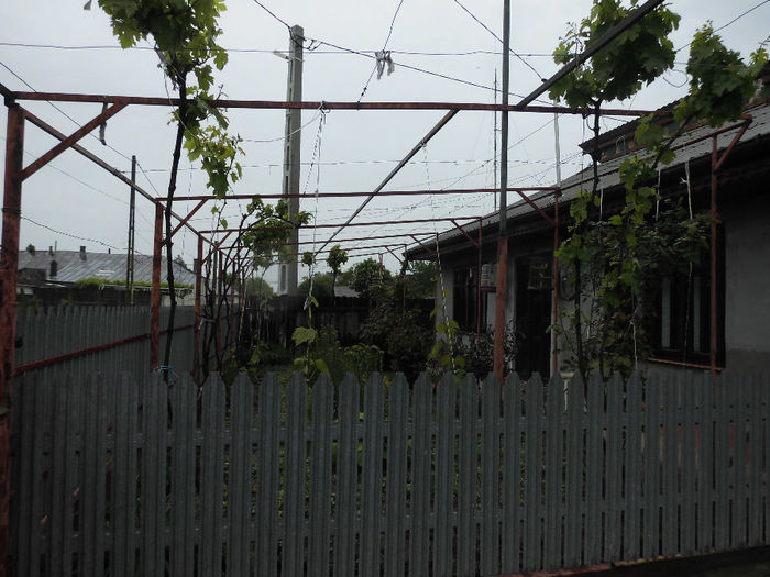 CIMG1248 - poze pentru Marius