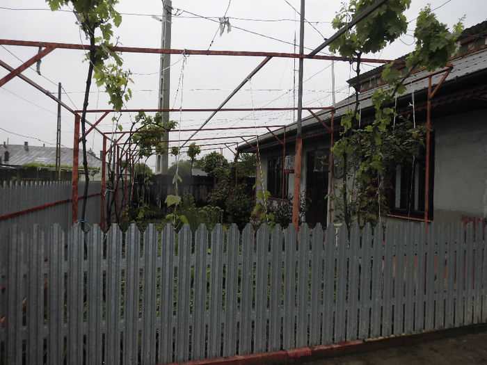 CIMG1249 - poze pentru Marius