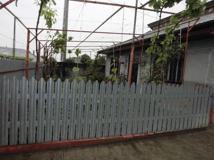 CIMG1250 - poze pentru Marius