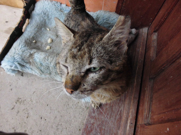 CIMG1252 - poze pentru Marius