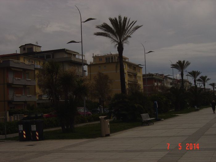 006 - LIDO DI CAMAIORE