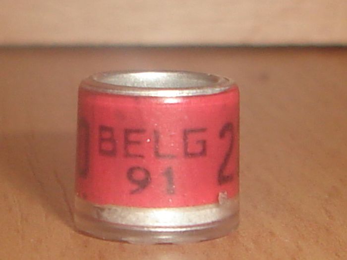 Belg 1991