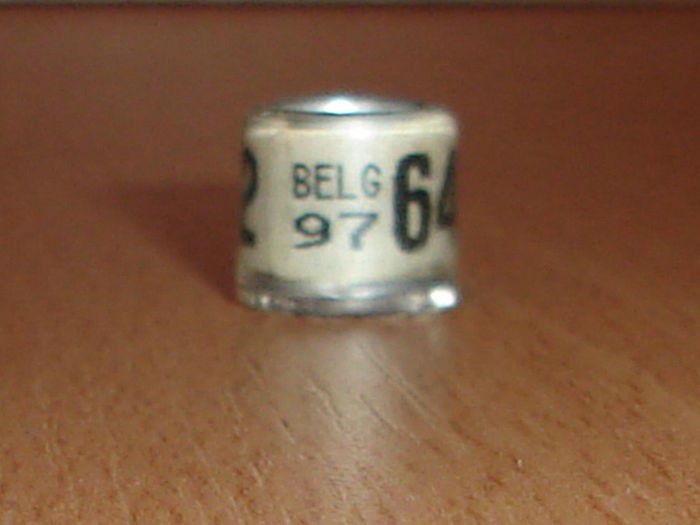 Belg 1997