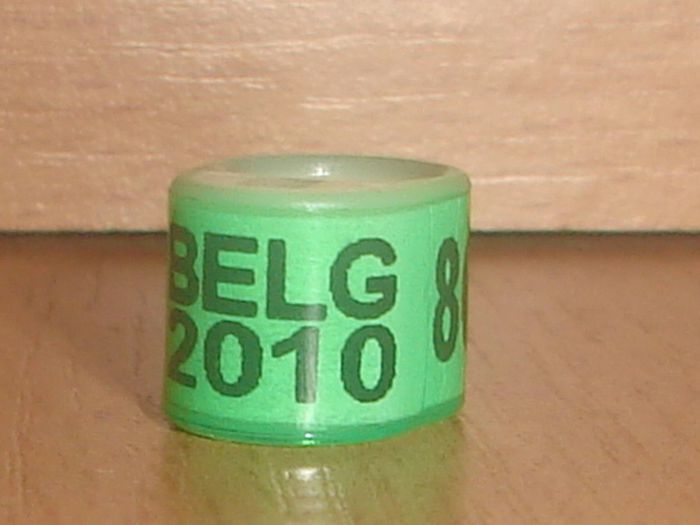 Belg 2010 - 1 2 STRAINE