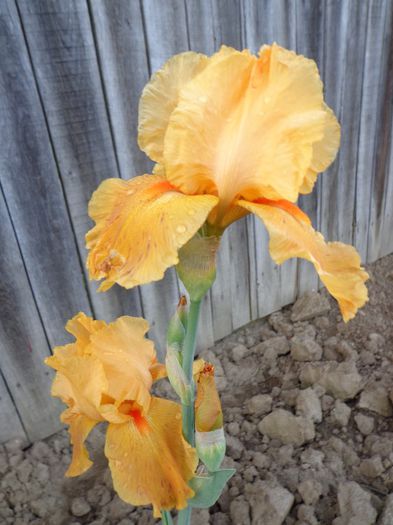 073