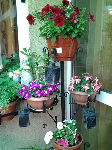 20140515_151618 - 1mai