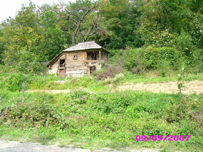 IMG_1392 - din  loc  in  loc