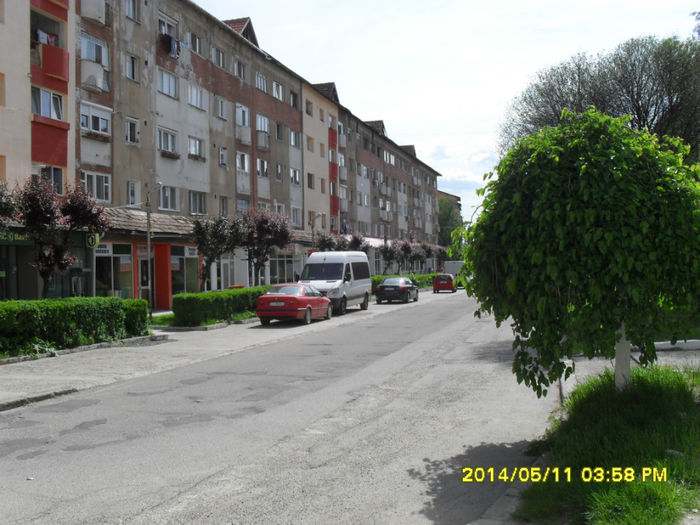 Otelu-Rosu,  Mai 2014