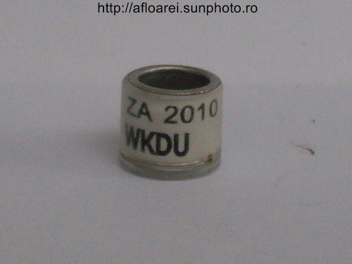za 2010 wkdu