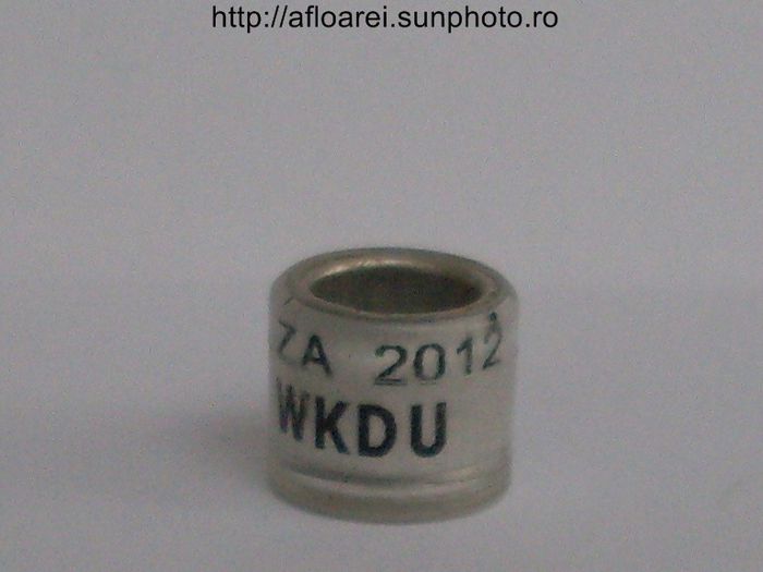 za 2012 wkdu