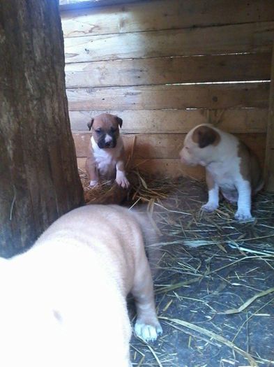 10288781_593773240729559_5187207215300915137_n