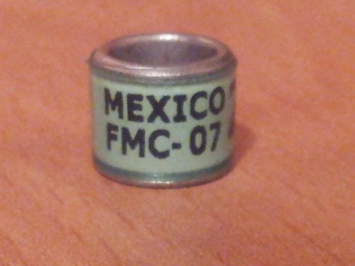 MEXICO 2007 FMC - MEXIC