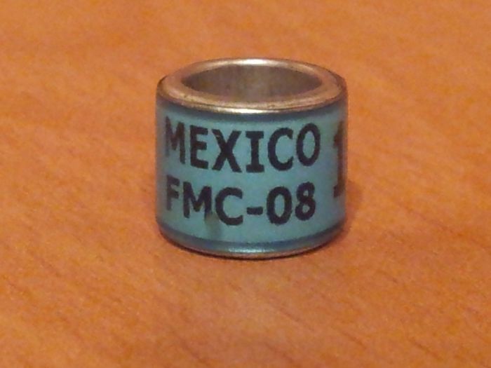 MEXICO 2008 FMC - MEXIC