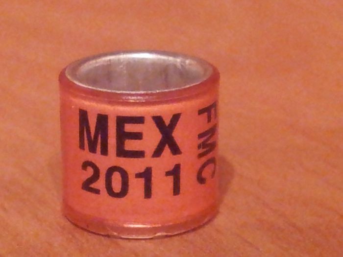 MEXICO 2011 FMC