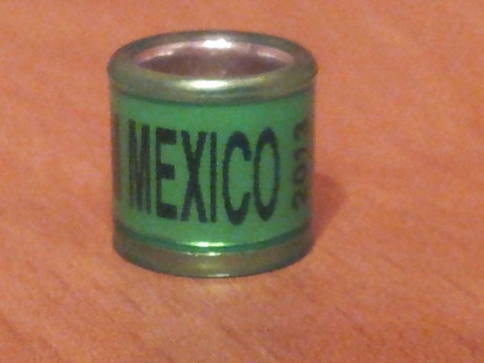 MEXICO 2013 - MEXIC
