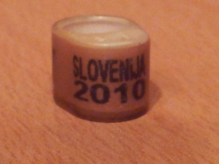 SLOVEIJA 2010 - SLOVACIA