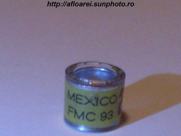 mexico fmc 93 - MEXIC