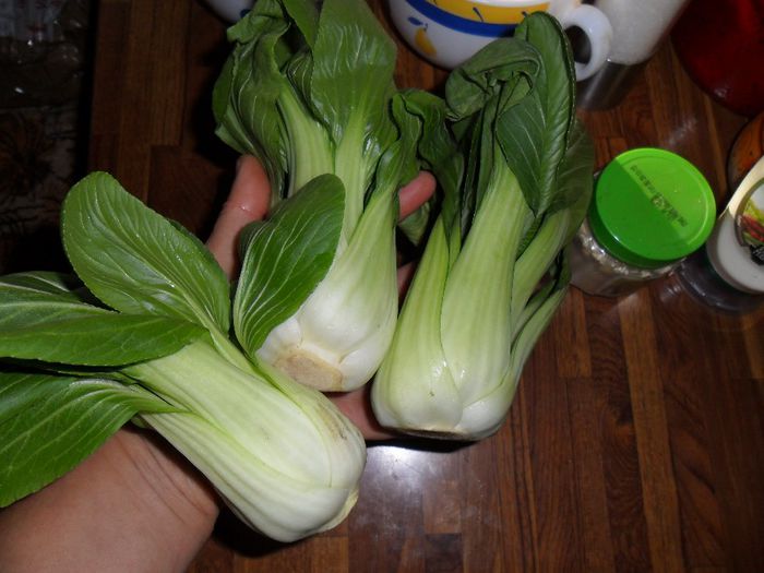pak choi