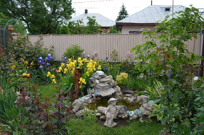 DSC_1256 - 1Gradinuta 2014