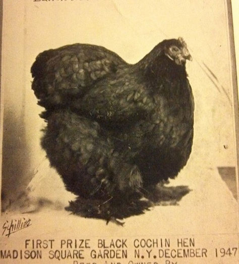 10308919_10203911116206957_7975046325616773549_n