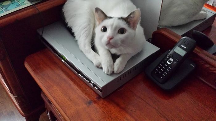 2014-04-13 14.31.33 - FELIX