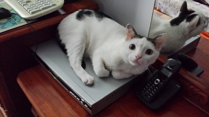20140413_143140 - FELIX