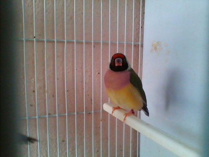 10322835_768160703228595_8495185122516462133_n - Copy