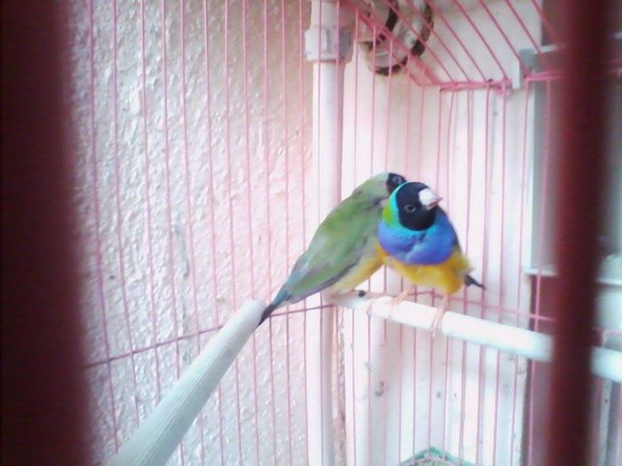 10359532_768160366561962_5472630632944829827_n - Copy