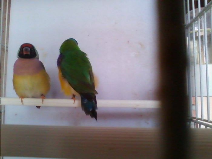 10367185_768160579895274_8180515690765472819_n - Copy