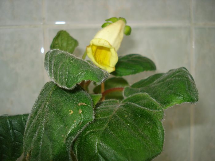 DSC08569
