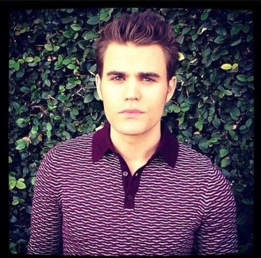 31 de elefanti se leganau pe o p;;;;a de paianjen *click; p;;;;a paianjenului s-a rupt HAPPY END
