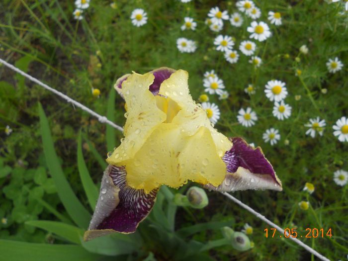 DSCN5106