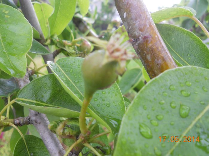 DSCN5108