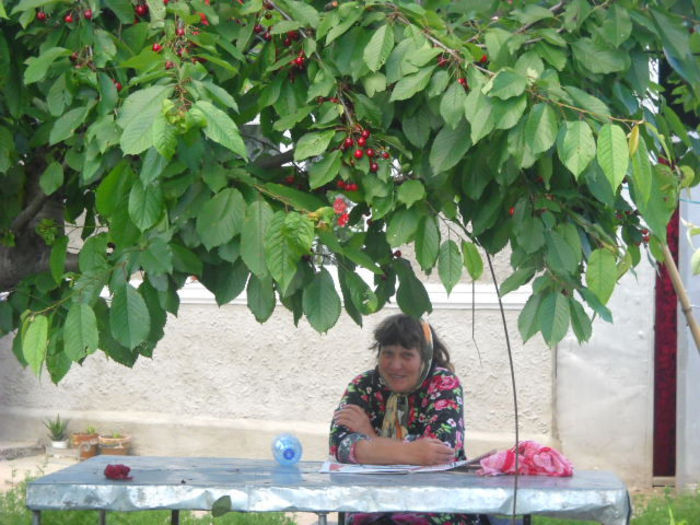 Picture 2974