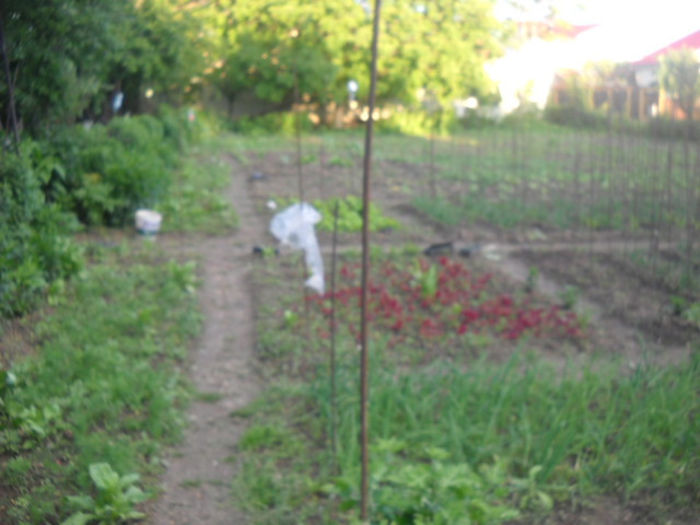 Picture 2967