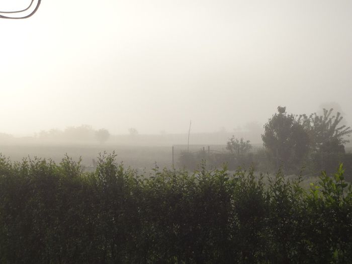 DSC00313