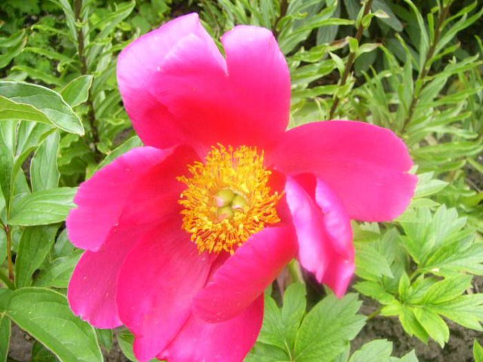 P1210434