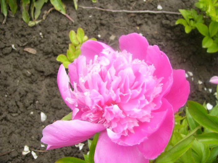 P1210439