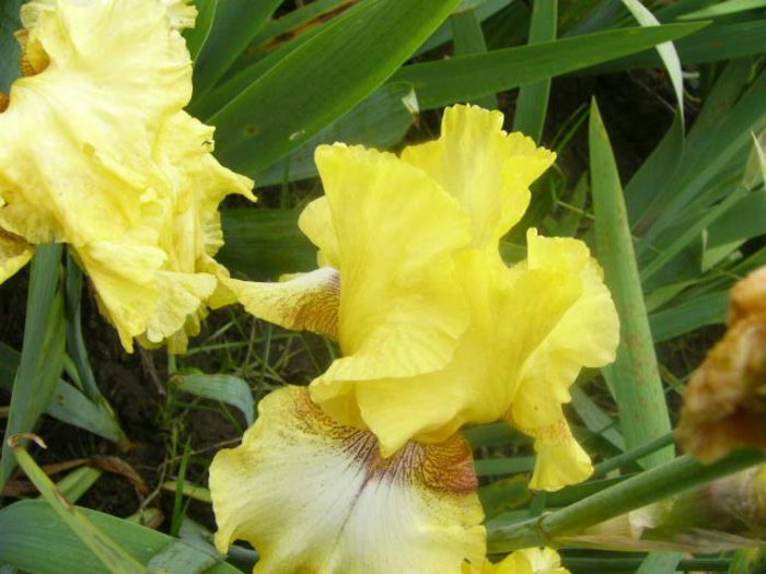 P1210487