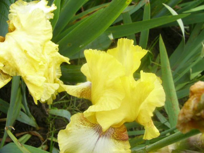 P1210488