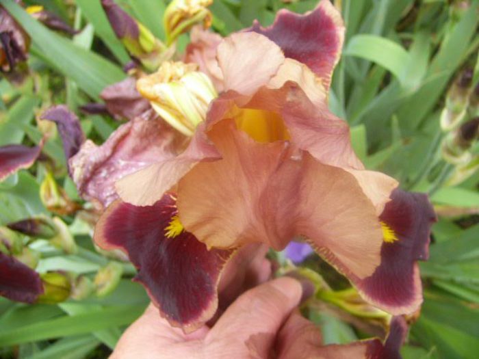 P1210491