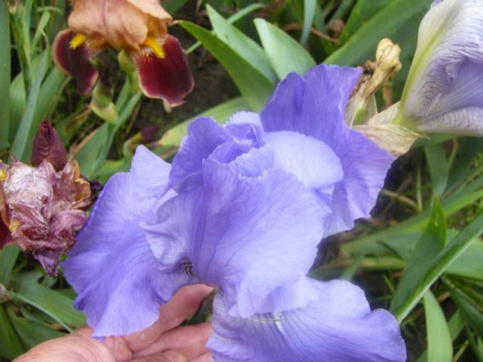 P1210495