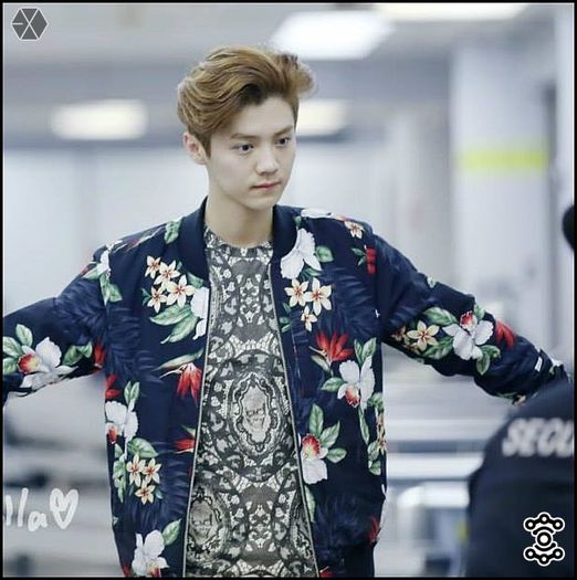 140407-08 LuHan @ Beijing & Incheon Airport.05 - exo - 140407-08 LuHan - Beijing - Incheon Airport