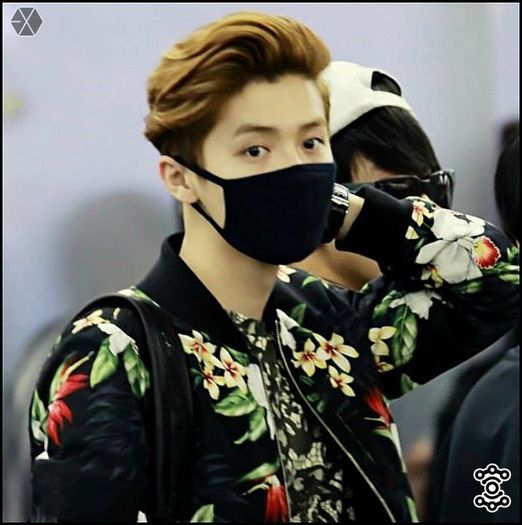 140407-08 LuHan @ Beijing & Incheon Airport.14 - exo - 140407-08 LuHan - Beijing - Incheon Airport