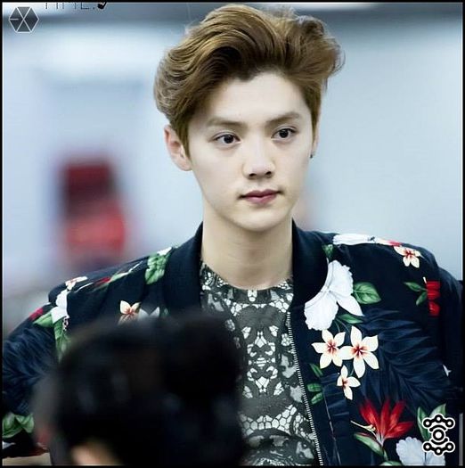 140407-08 LuHan @ Beijing & Incheon Airport.19